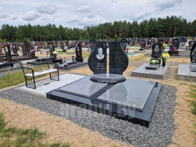 20033