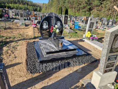 20036